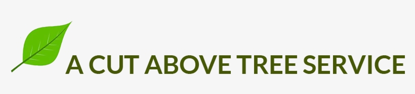 Tree Trimming, Stump Grinding - Meditech, transparent png download