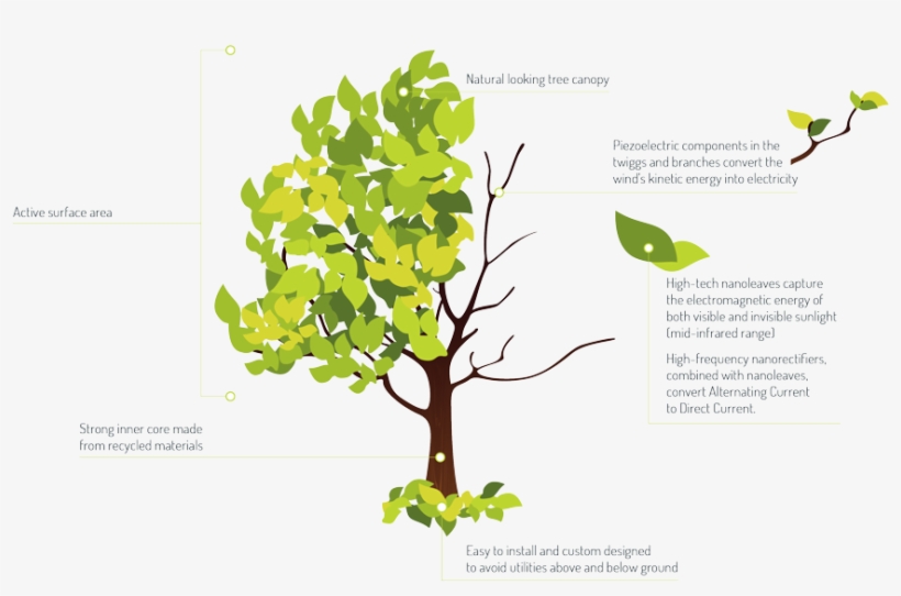 Photo From Solar Botanic - Seasonal Tree Summer Shower Curtain, transparent png download