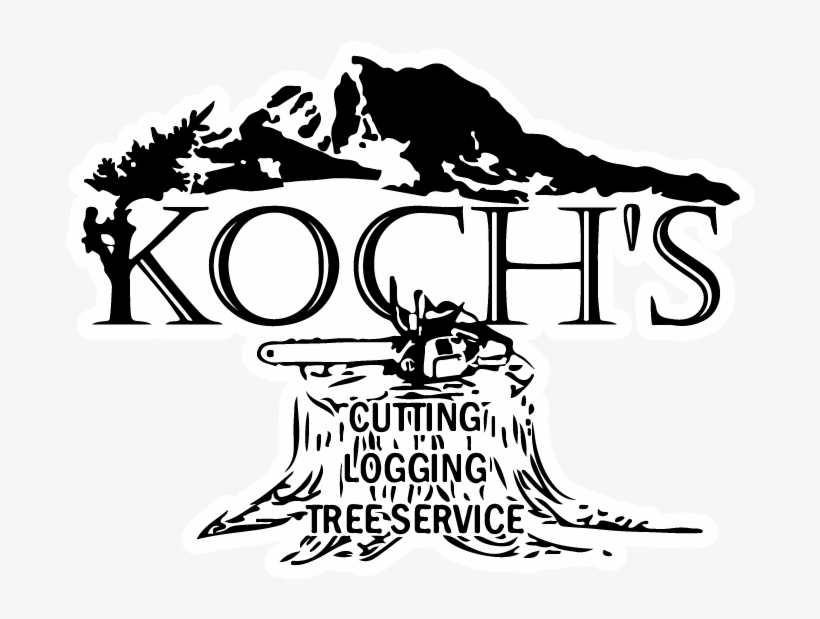 Home - Tree, transparent png download