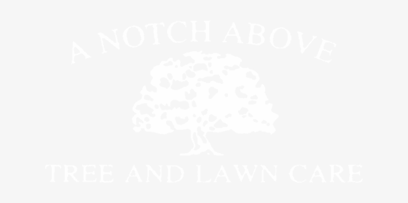 1245 - A Notch Above Tree & Lawn Care, transparent png download