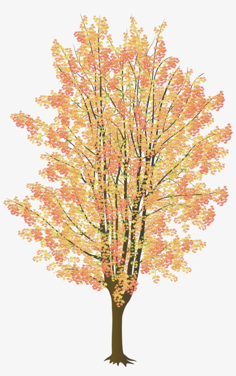 Pictured Below Are Close Ups Of Some Of The Leaves - Portable Network Graphics, transparent png download