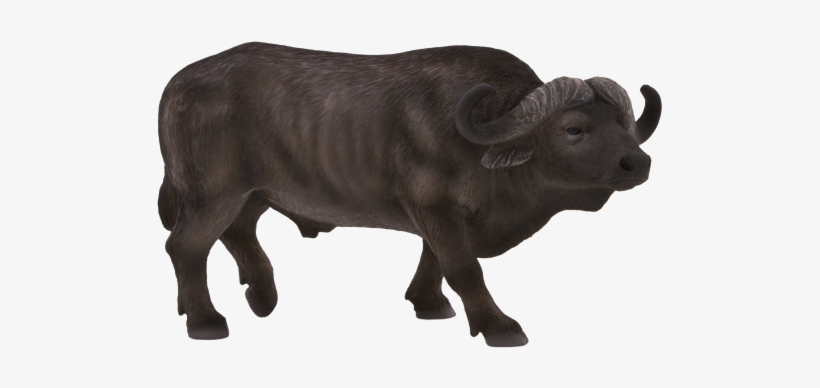 Buffalo Transparent African Clip Art Black And White - Cape Buffalo, transparent png download
