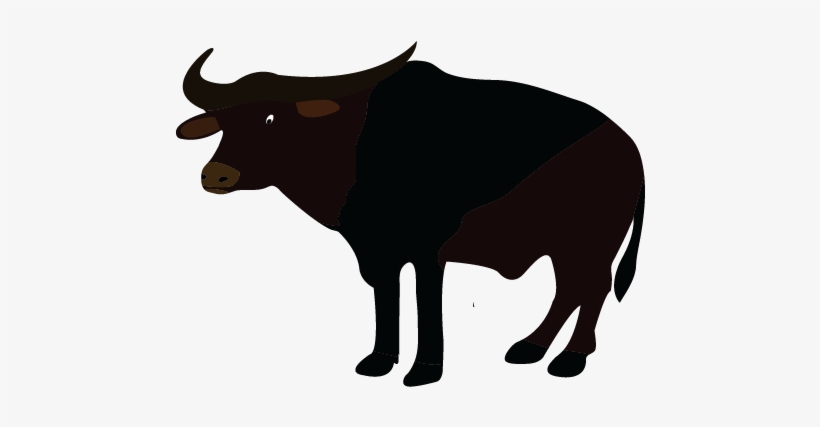Buffalo - Water Buffalo Silhouette Png, transparent png download