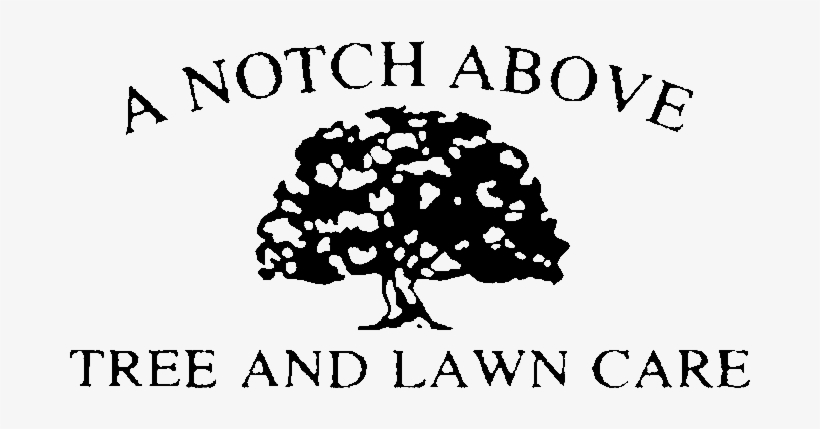 Logo, transparent png download