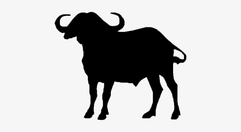 Buffalo Silhouette At Getdrawings - Buffalo Png, transparent png download