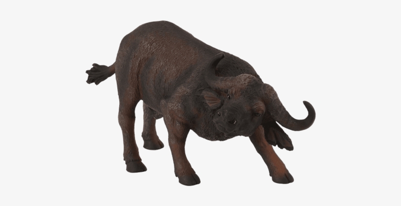 Free Png African Buffalo Png Images Transparent - Best Price Modern Wholesale, transparent png download