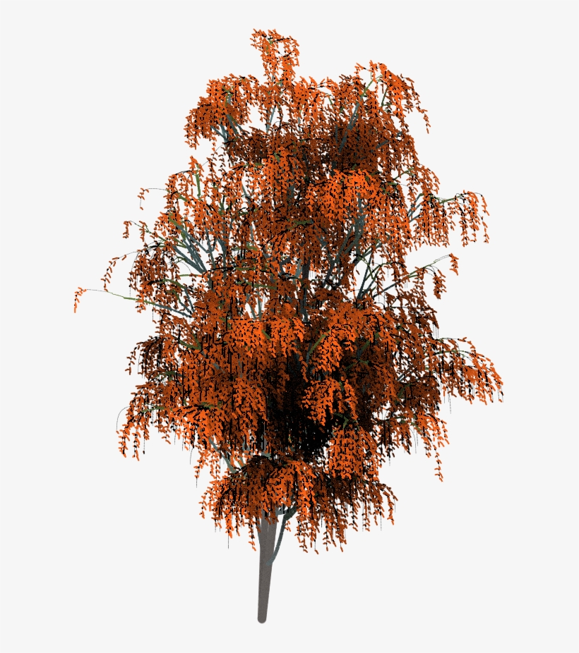 We Have Also Produced A Few Free Samples In Png Image - Tree, transparent png download