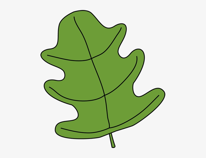 Leaf - Outline - Clipart - My Cute Graphics Leaf, transparent png download