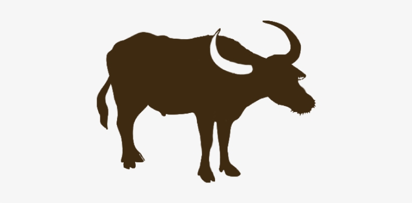 Pickup Or Carry Out - Ox, transparent png download