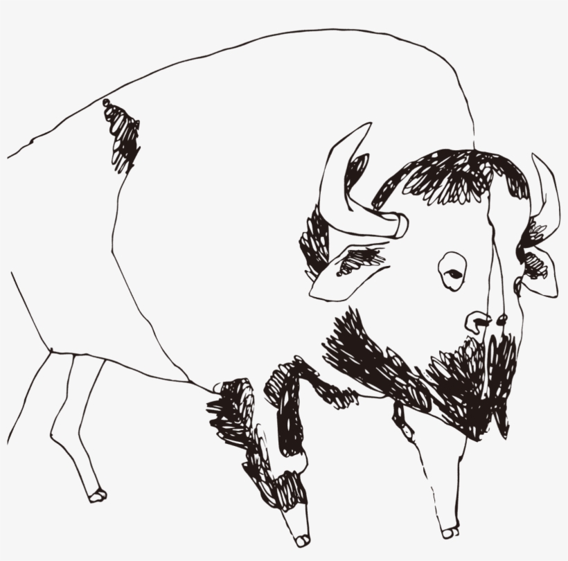Buffalo - Sketch, transparent png download