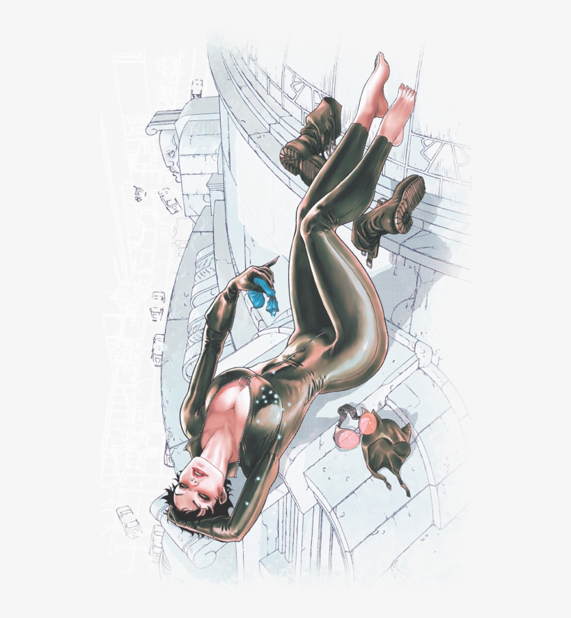 Justice League Catwoman - Catwoman Vol. 1: The Game (the New 52), transparent png download