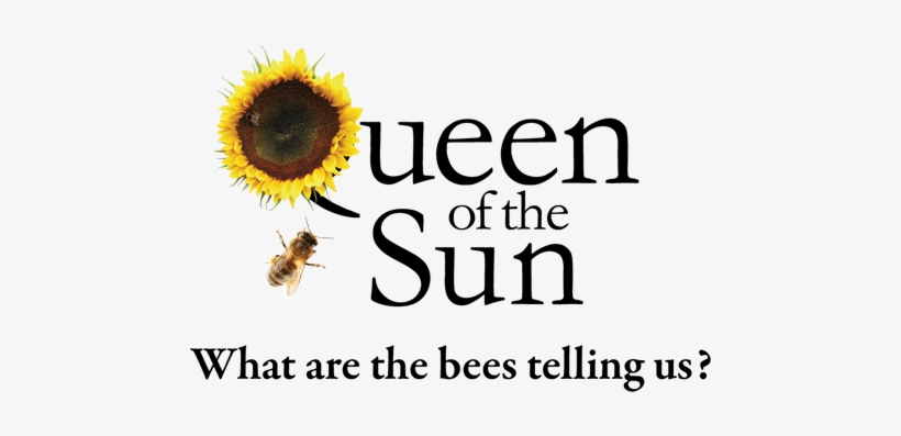 Queen Of The Sun Logo - Beerologistdark.png Ornament (round), transparent png download