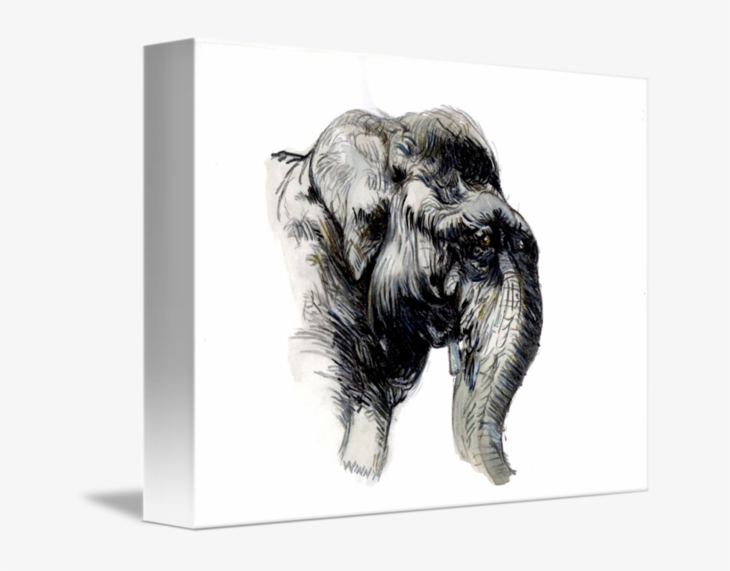Elephant Head Watercolor By Penny Winn Graphic Black - Watercolor Painting, transparent png download
