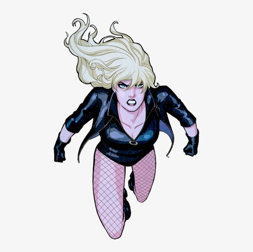 Black Canary - Green Arrow Y Canario Negro, transparent png download