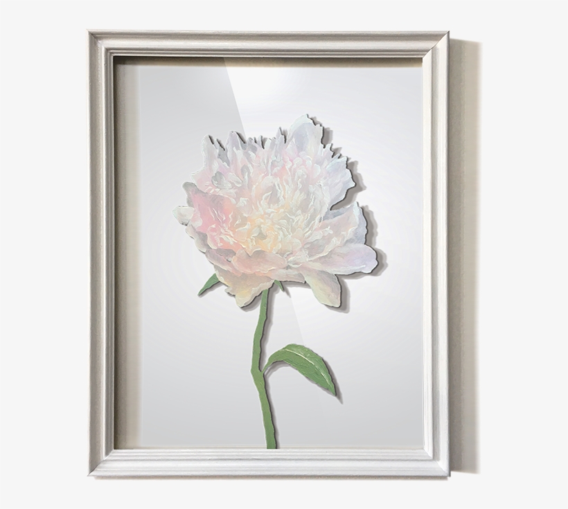 Wildflower, transparent png download