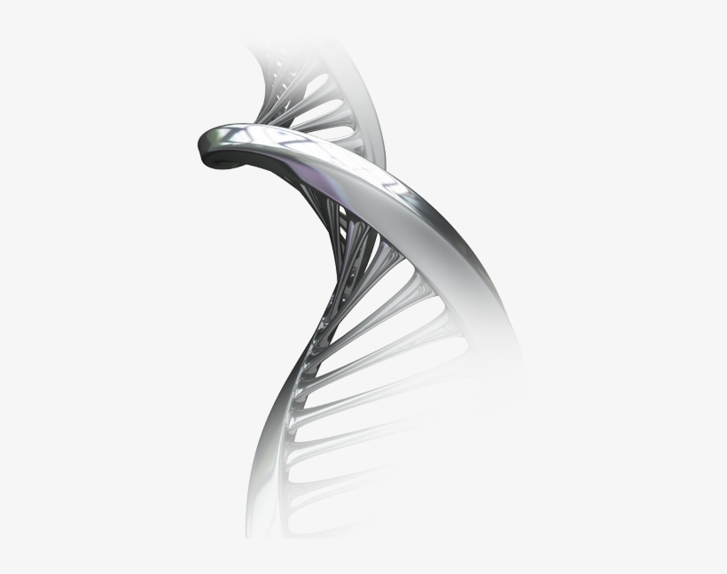 Technologies - Molecular Biotechnology, transparent png download