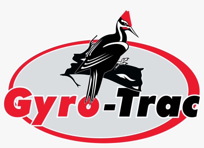 Gyro Trac Corporation - Ivory-billed Woodpecker, transparent png download
