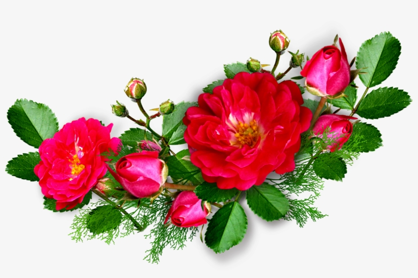 Border Flowers Png, transparent png download