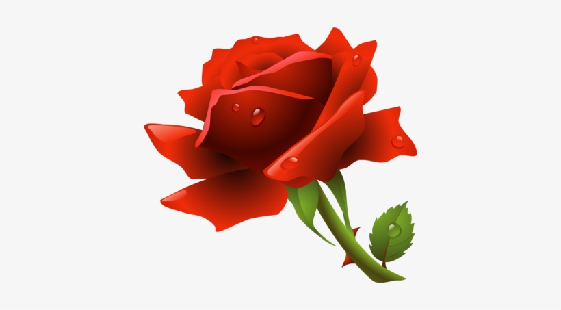 Source - - Roses Vector, transparent png download