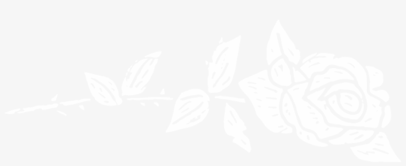 Single Rose, transparent png download