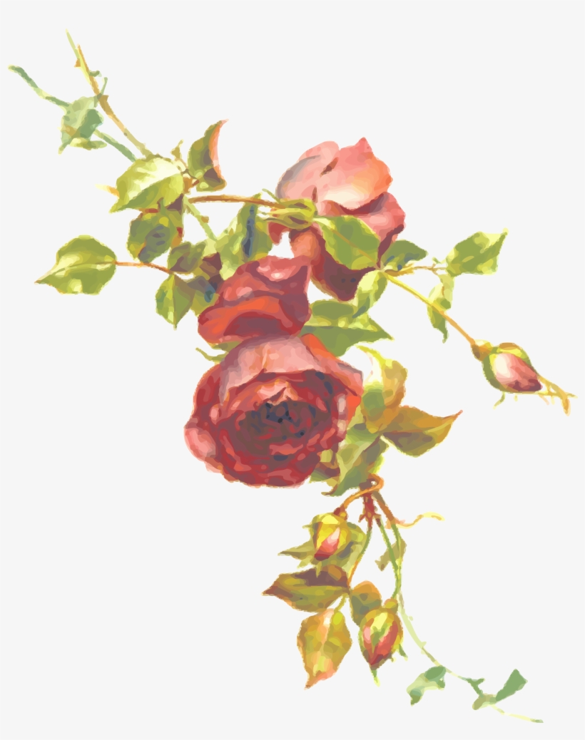 Single Red Rose Png Clipart Image - Vintage Roses, transparent png download
