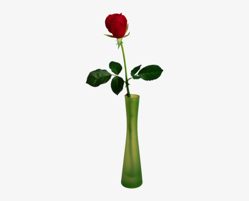 Rose In A Vase Clipart, transparent png download