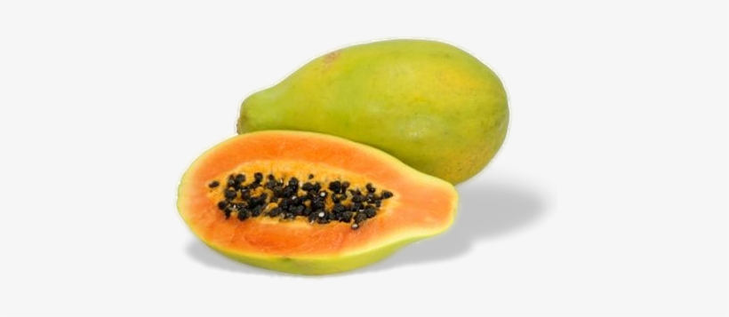 Clip Freeuse Download Jr Jhay Farm And Gardening Papayas - Variedades De La Papaya, transparent png download