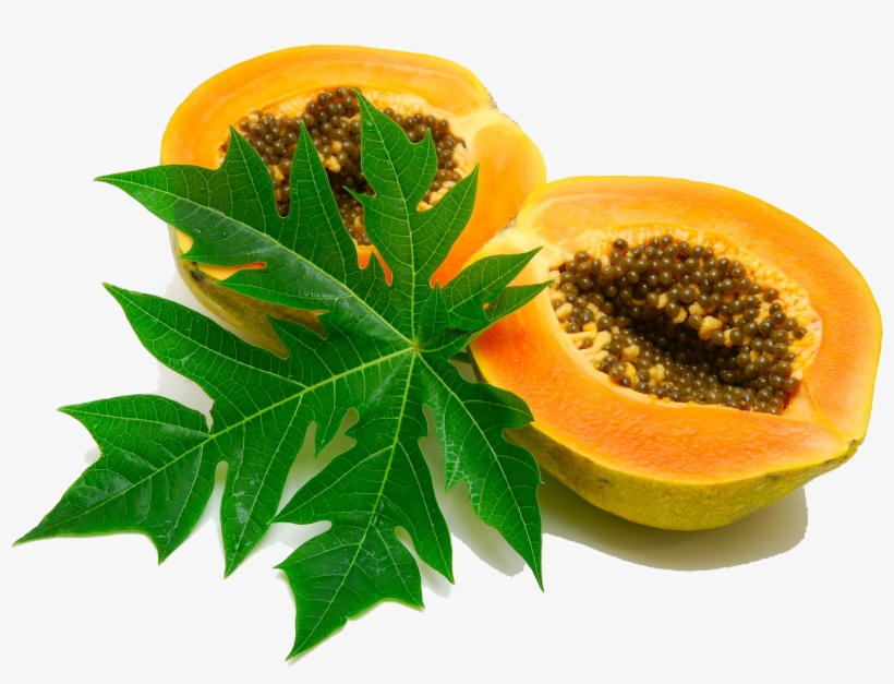 Papaya Png Image - Papaya Leaves Png, transparent png download