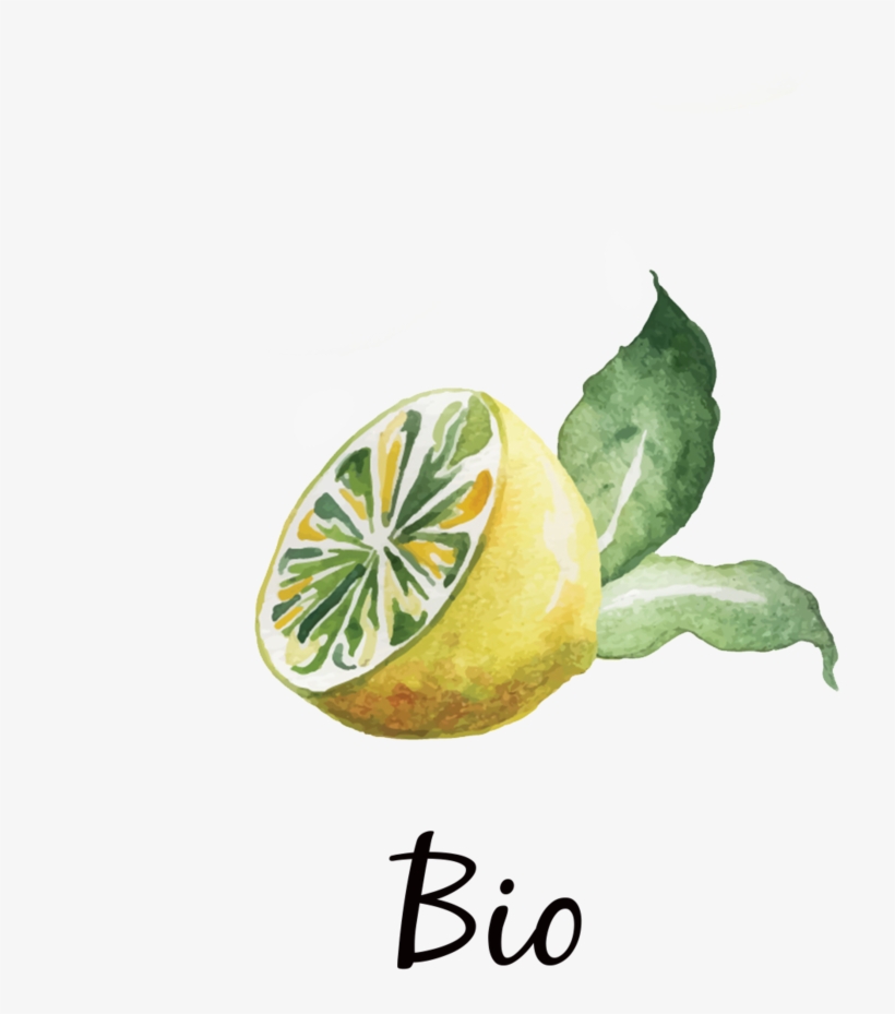 Drawing, transparent png download