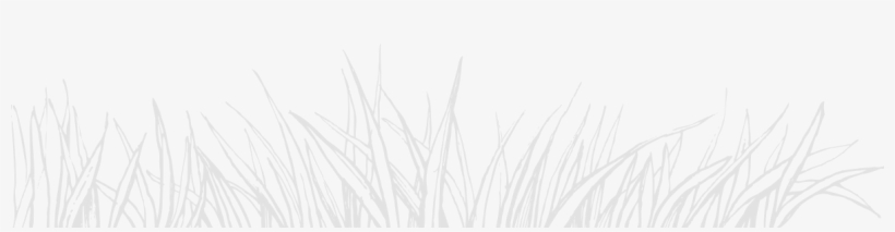 Check Availability Check Availability - Line Art, transparent png download