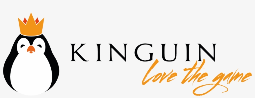 Kinguin Partnerem Merytorycznym Forum Sportu I Biznesu, transparent png download