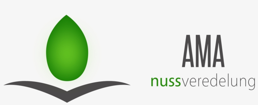 Proven Tradition In A Fresh Look, transparent png download