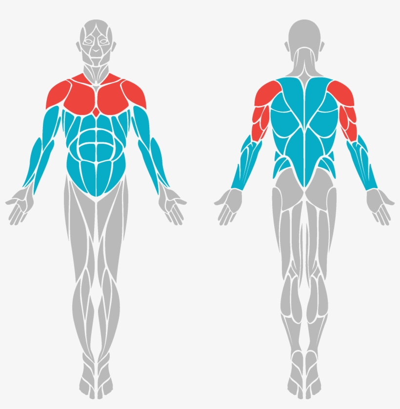 The Resistance Bench Press, transparent png download