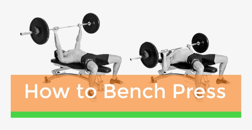 How To Bench Press On Tmhn, transparent png download