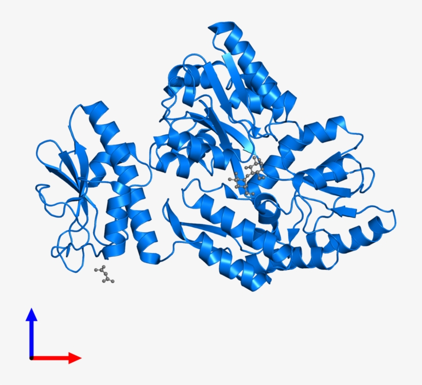 <div Class='caption-body'>pdb Entry 4pe2 Contains 1, transparent png download