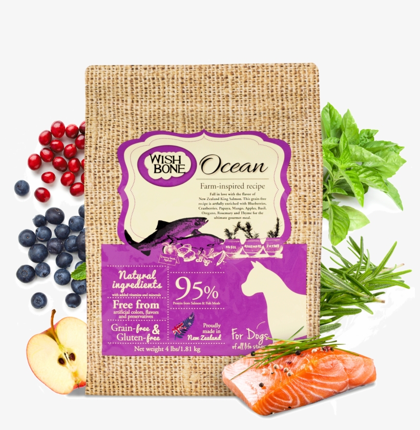 Ocean, transparent png download