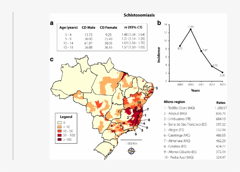 Schistosomiasis Transmission In Brazil From 2009 To, transparent png download