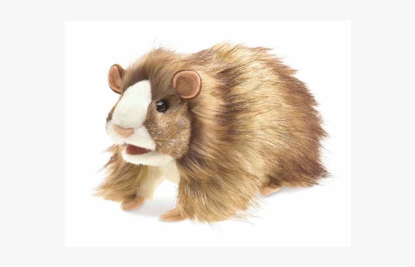 Guinea Pig, transparent png download
