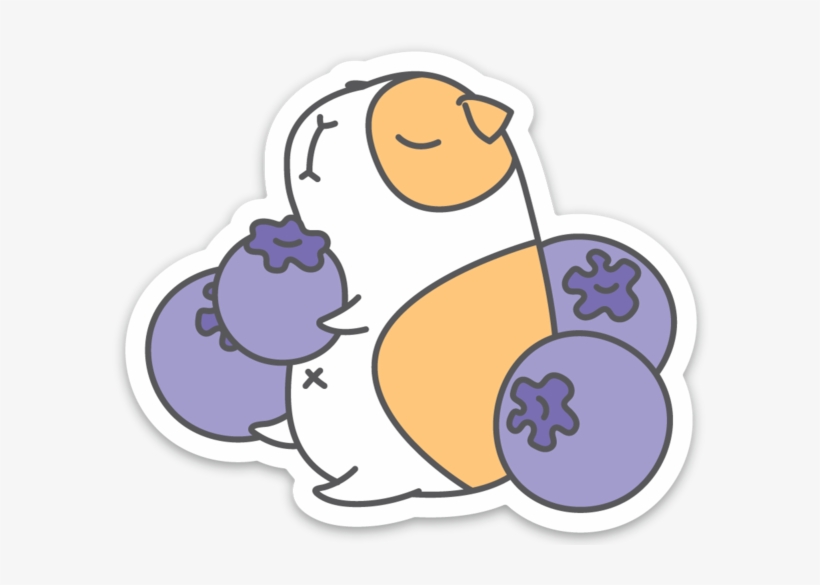G U I N E A Pig With Blueberries Vinyl Sticker, transparent png download