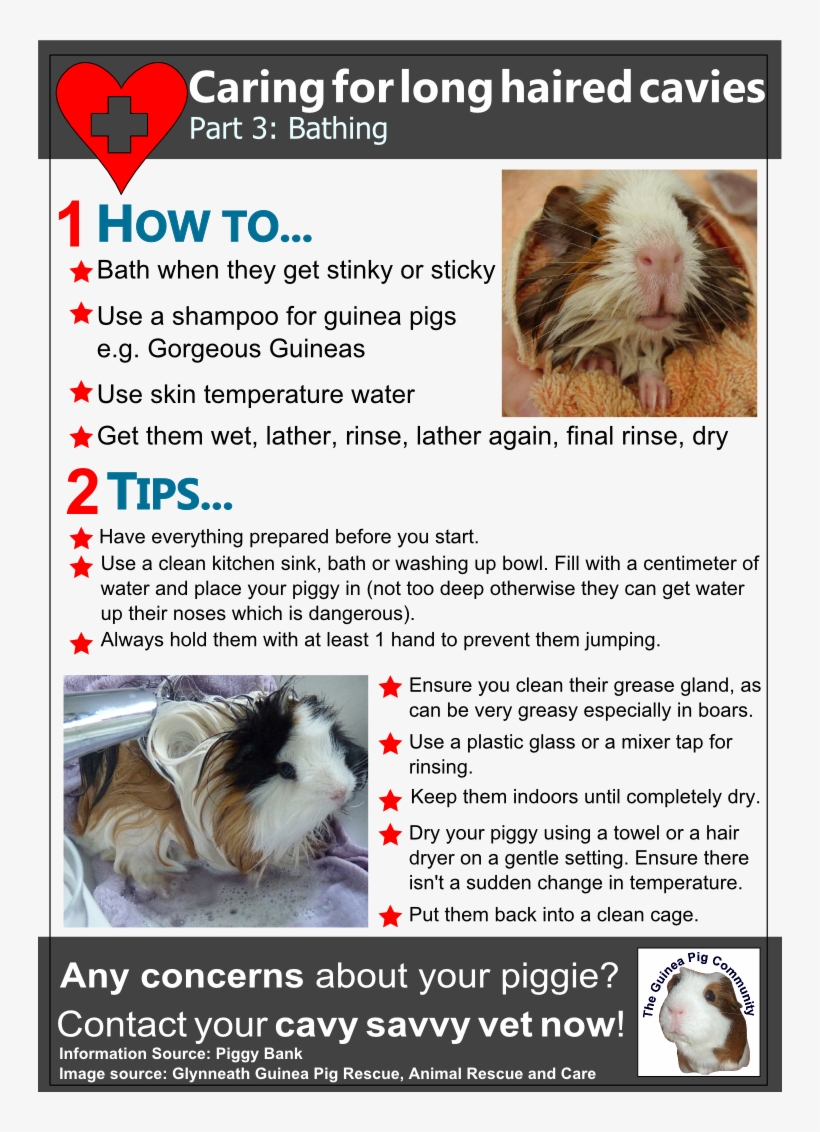 Part 3 In Our Three Part Health Series On Looking After, transparent png download