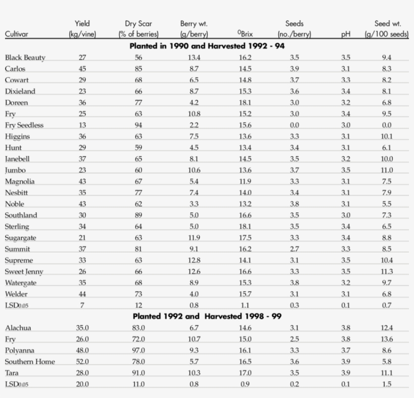 Performance Of Muscadine Cultivars Planted At Mcneil,, transparent png download