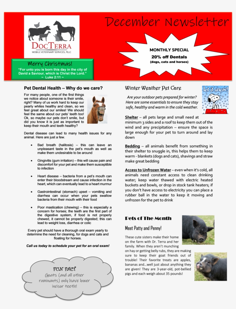 December Newsletter 2018, transparent png download