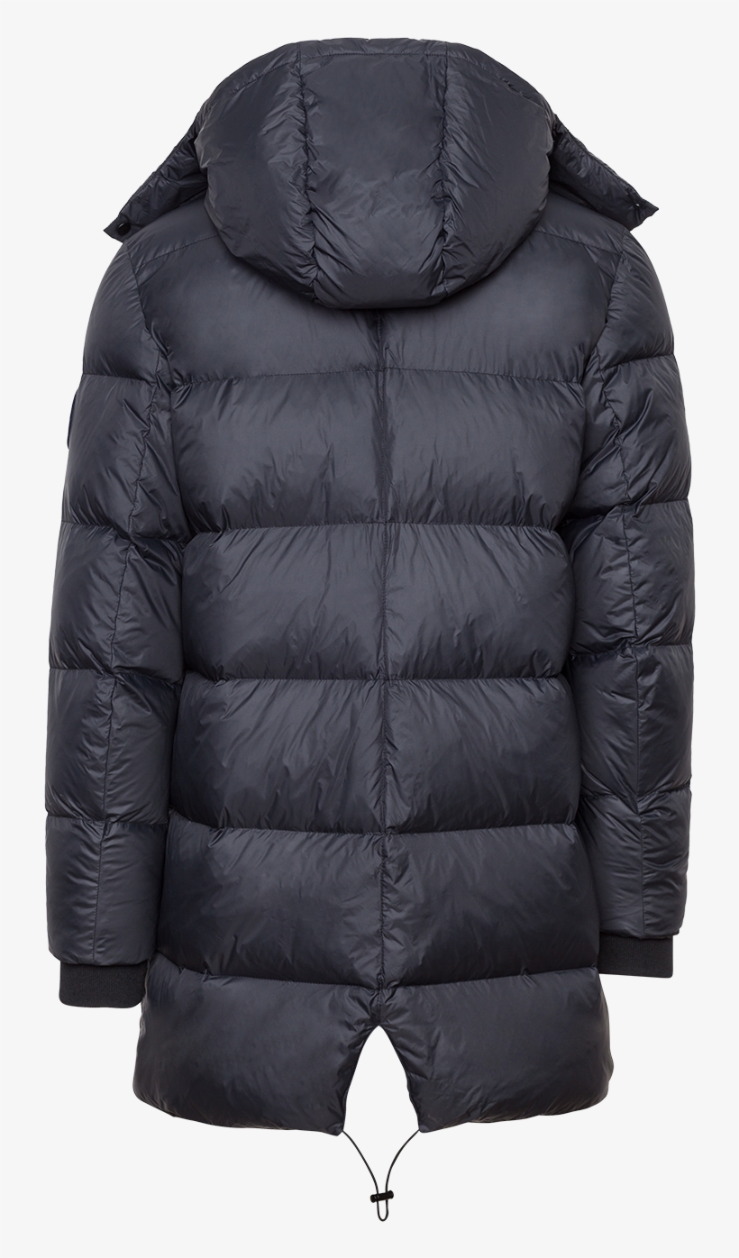 Coat Roy, transparent png download