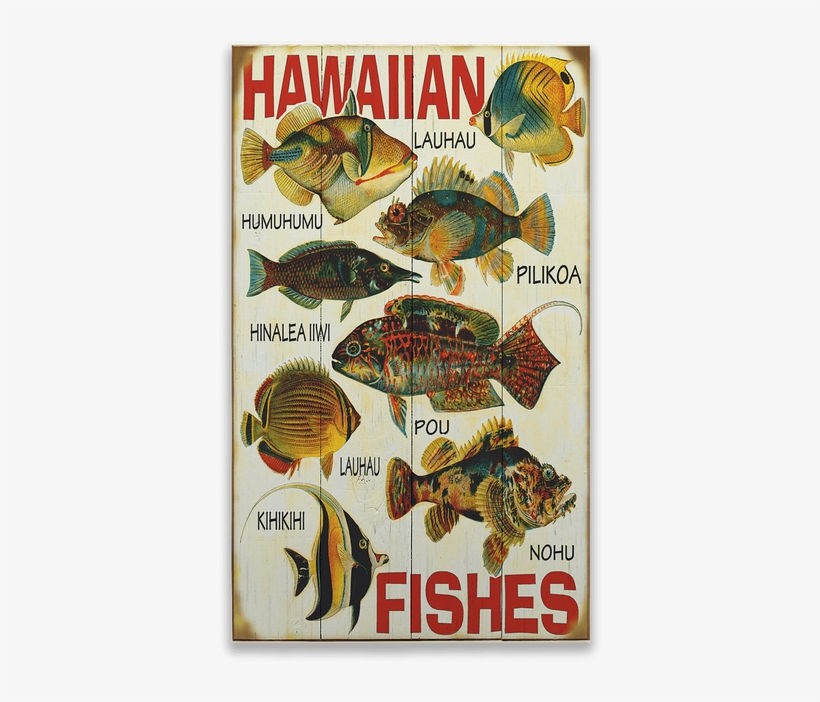 Hawaiian Fish, transparent png download