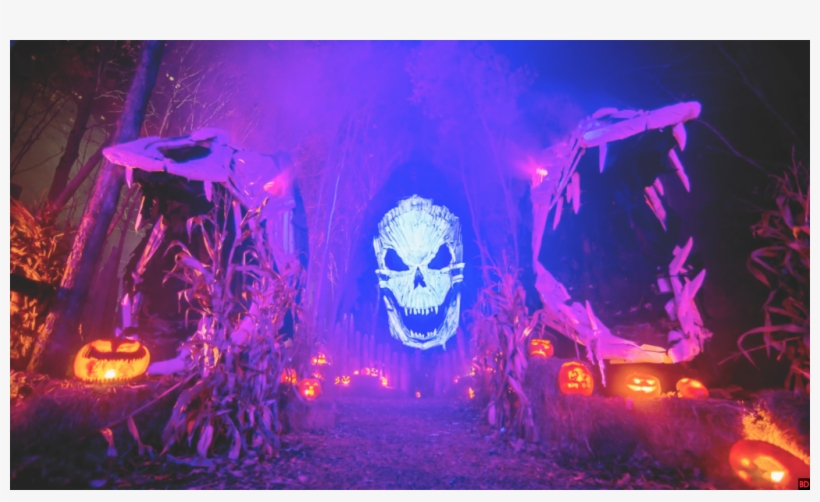 When Asked About The Inspirations For The Film, Schnitzer, transparent png download