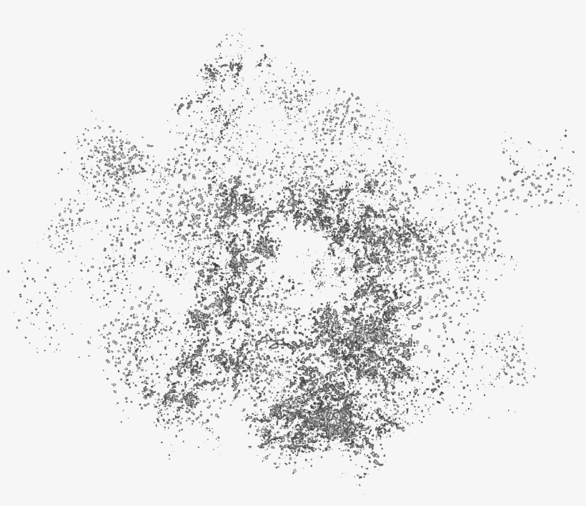 Bloom Plankton, transparent png download