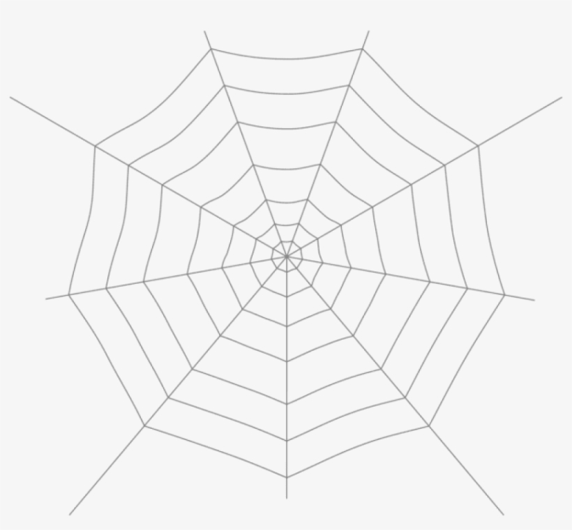 Free Png Spider Web Png Images Transparent, transparent png download