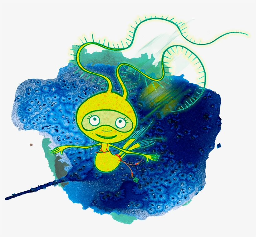 Plankton Illustration, transparent png download