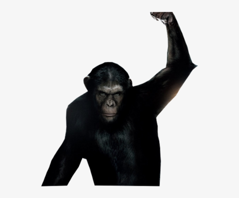 Share This Image, transparent png download
