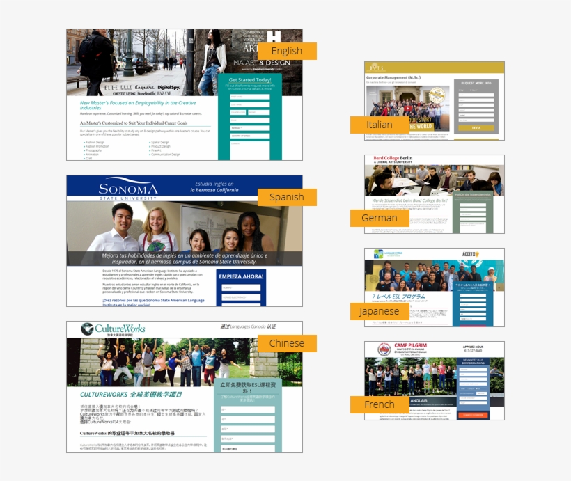 Multi Lingual Lps, transparent png download